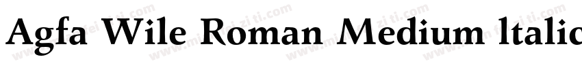 Agfa Wile Roman Medium ltalic字体转换